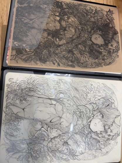 commissions (Original drawings + digital drawing+art print set)