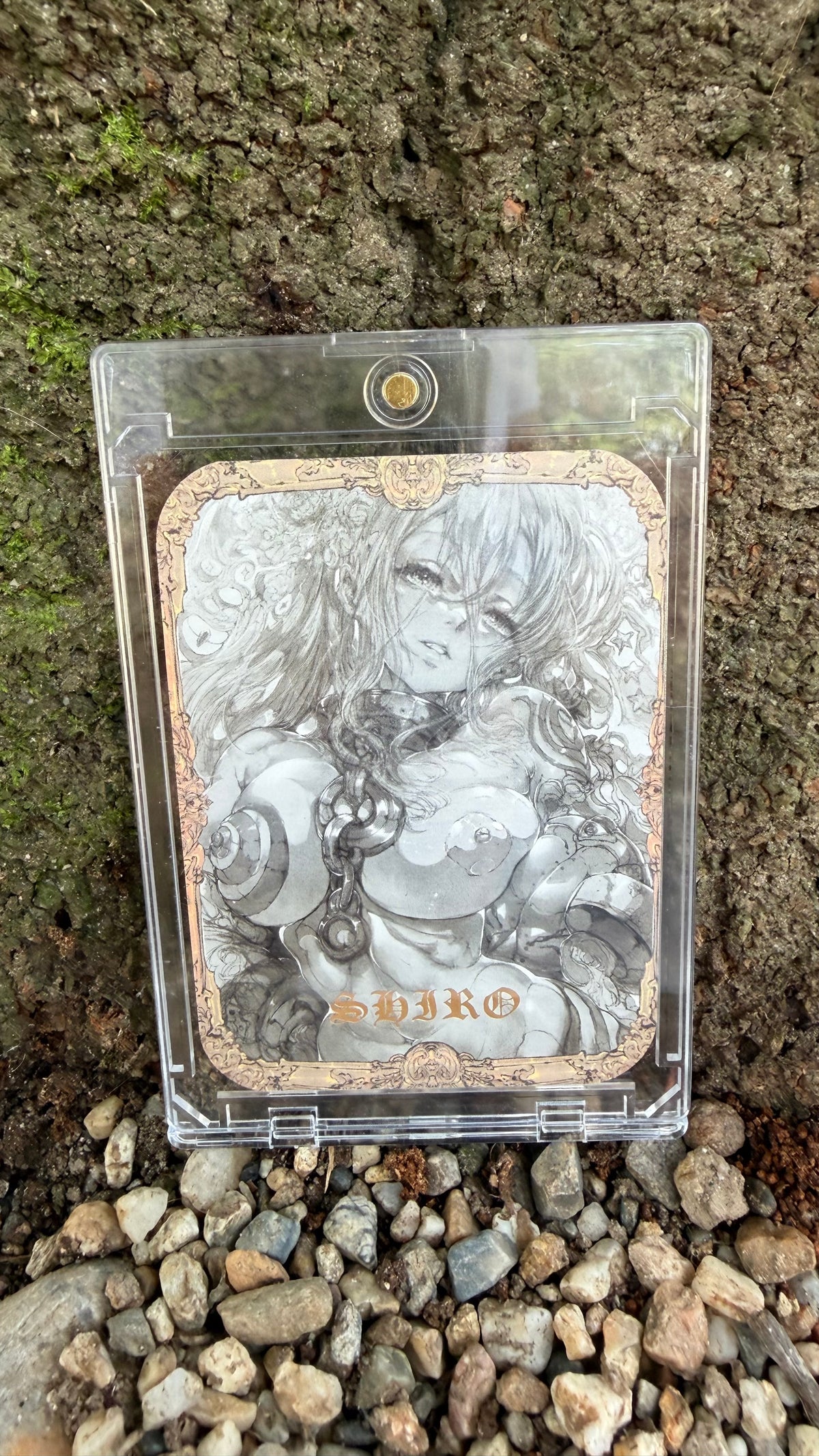 Shiro custom set