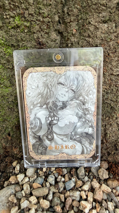 Shiro custom set