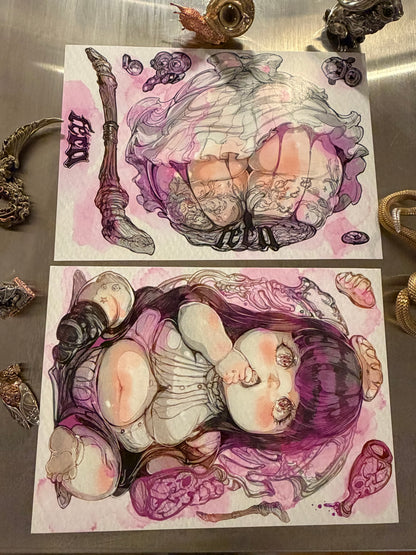 fern set